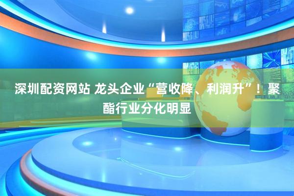 深圳配资网站 龙头企业“营收降、利润升”！聚酯行业分化明显